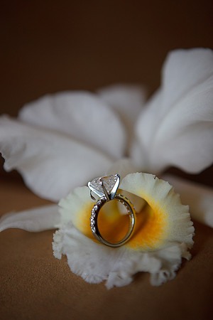 The Wedding Rings