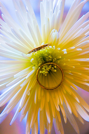 The Rings
